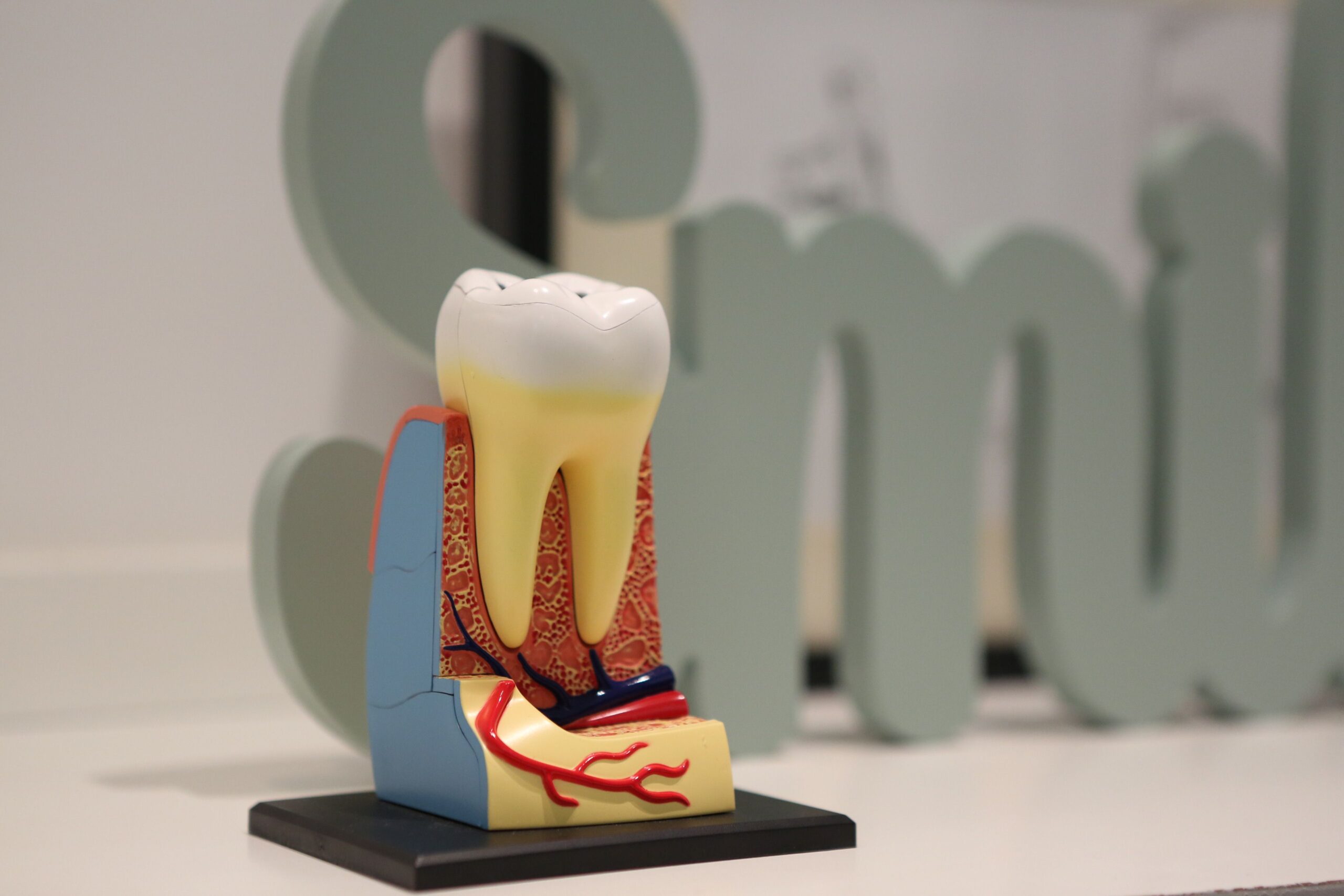 Periodoncia